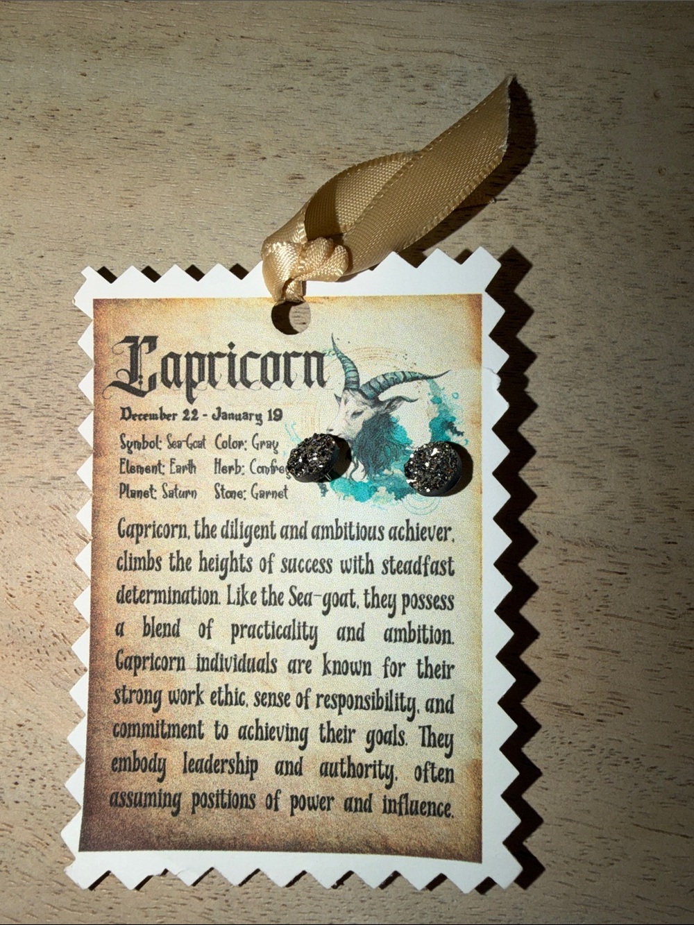 New Capricorn round grey earrings silver